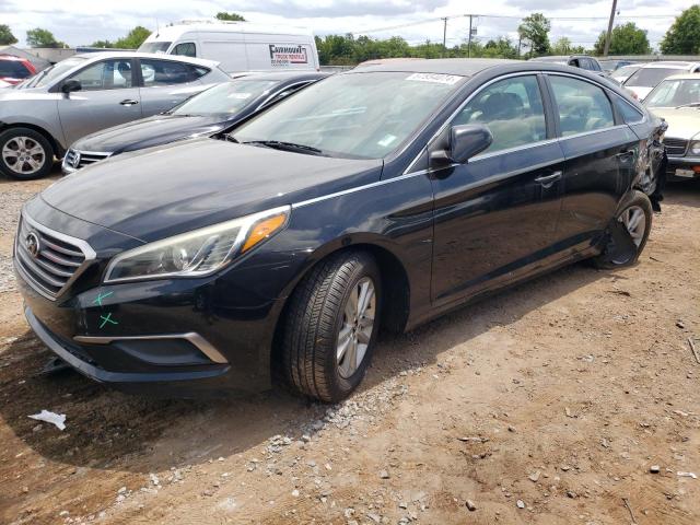 HYUNDAI SONATA 2016 5npe24af6gh263374