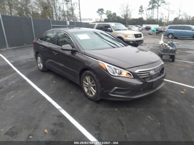 HYUNDAI SONATA 2016 5npe24af6gh267022