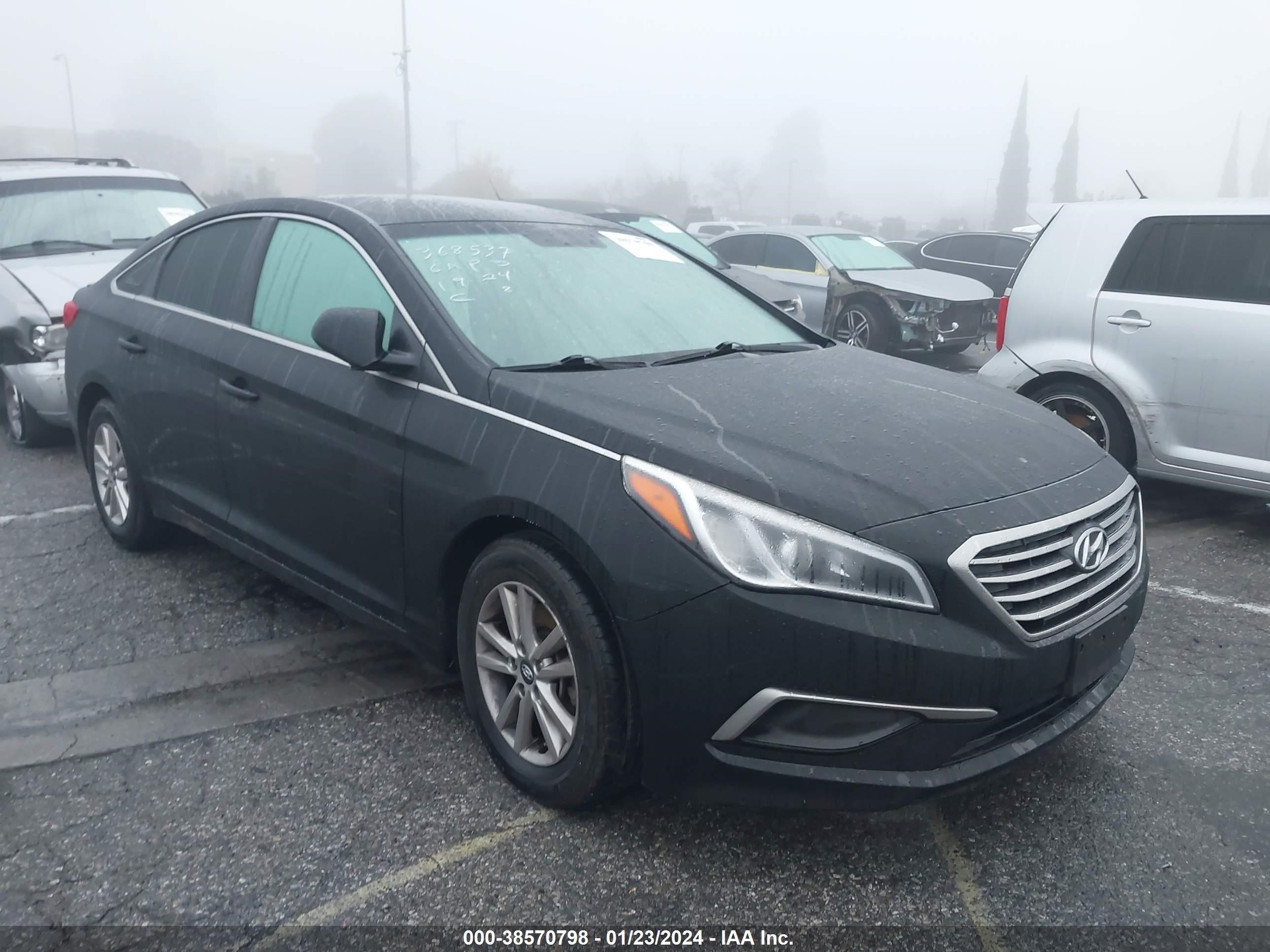 HYUNDAI SONATA 2016 5npe24af6gh270051