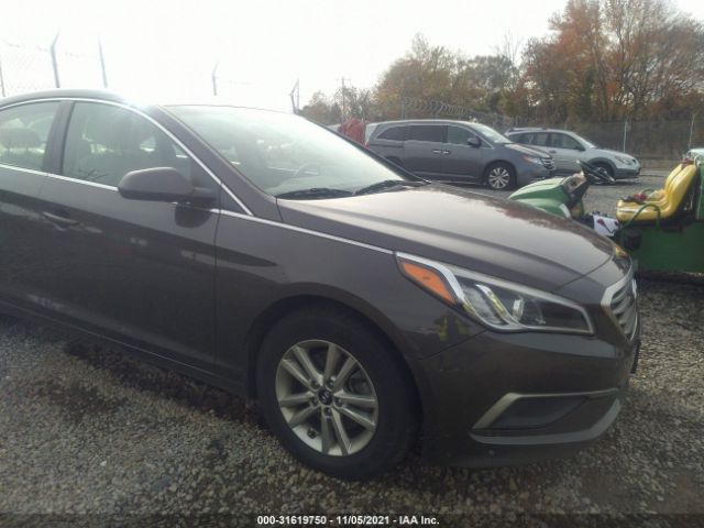 HYUNDAI SONATA 2016 5npe24af6gh272589