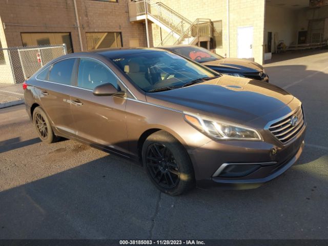 HYUNDAI SONATA 2016 5npe24af6gh272592