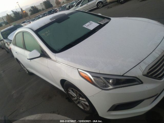 HYUNDAI SONATA 2016 5npe24af6gh273208