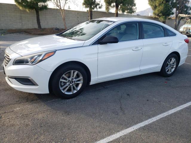 HYUNDAI SONATA 2016 5npe24af6gh275556