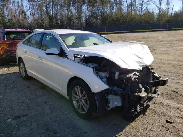 HYUNDAI SONATA SE 2016 5npe24af6gh279316