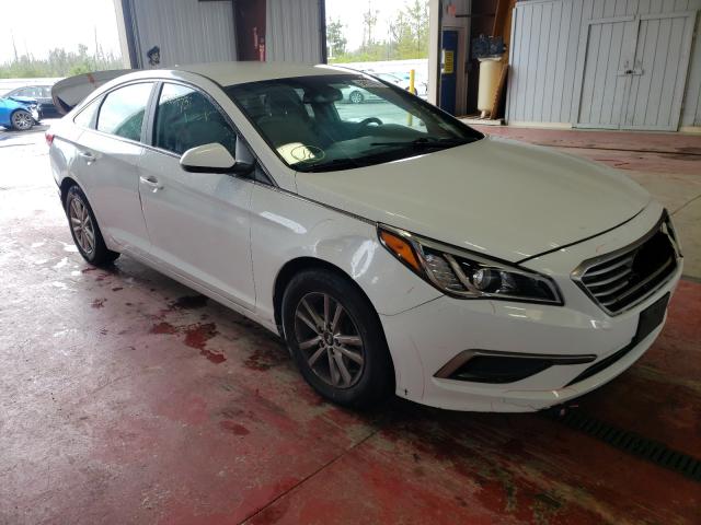 HYUNDAI SONATA SE 2016 5npe24af6gh281079