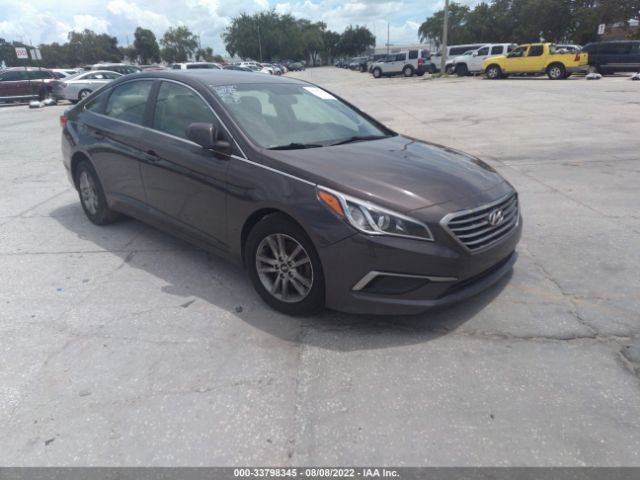 HYUNDAI SONATA 2016 5npe24af6gh282684