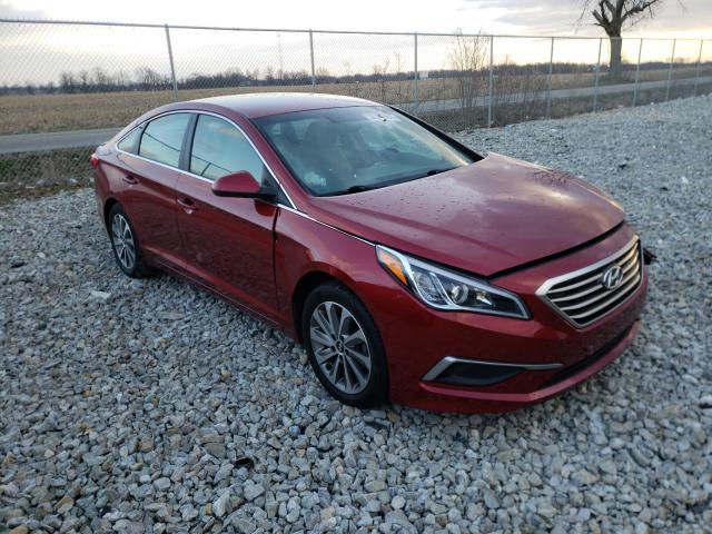 HYUNDAI SONATA SE 2016 5npe24af6gh285875