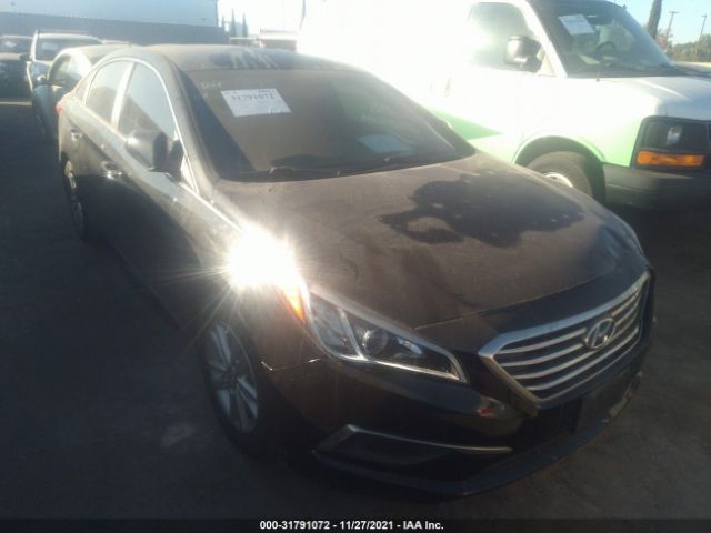 HYUNDAI SONATA 2016 5npe24af6gh288436