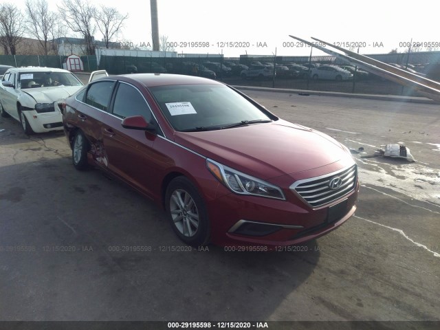 HYUNDAI SONATA 2016 5npe24af6gh289456