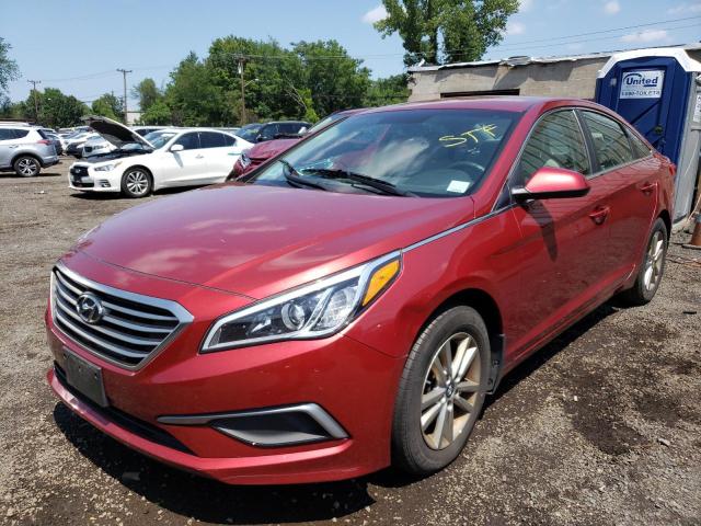 HYUNDAI SONATA SE 2016 5npe24af6gh292423