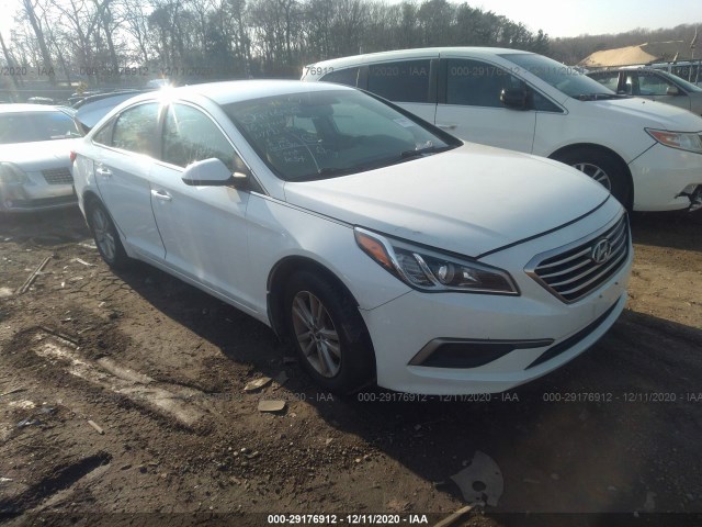 HYUNDAI SONATA 2016 5npe24af6gh294396