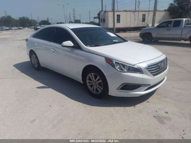 HYUNDAI SONATA 2016 5npe24af6gh303453