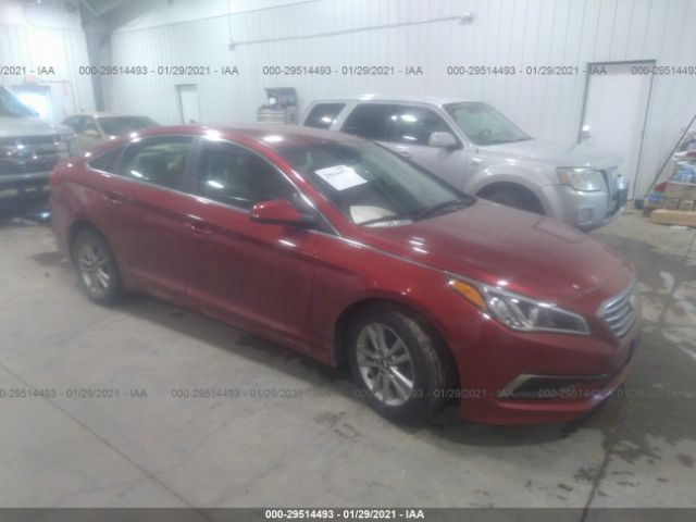 HYUNDAI SONATA 2016 5npe24af6gh306627