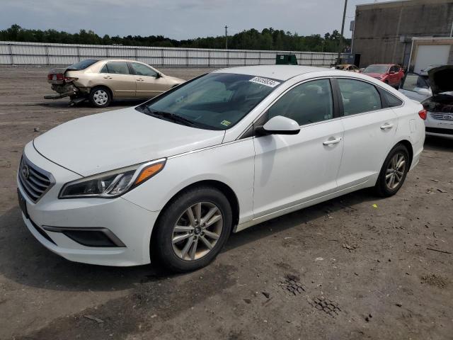 HYUNDAI SONATA 2016 5npe24af6gh310418