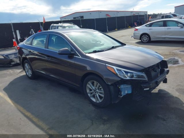 HYUNDAI SONATA 2016 5npe24af6gh312315