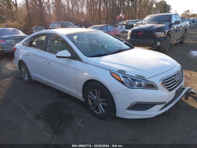 HYUNDAI SONATA 2016 5npe24af6gh313707