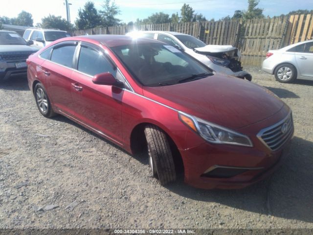 HYUNDAI SONATA 2016 5npe24af6gh313884