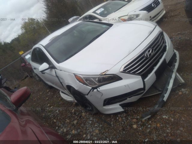 HYUNDAI SONATA 2016 5npe24af6gh316364