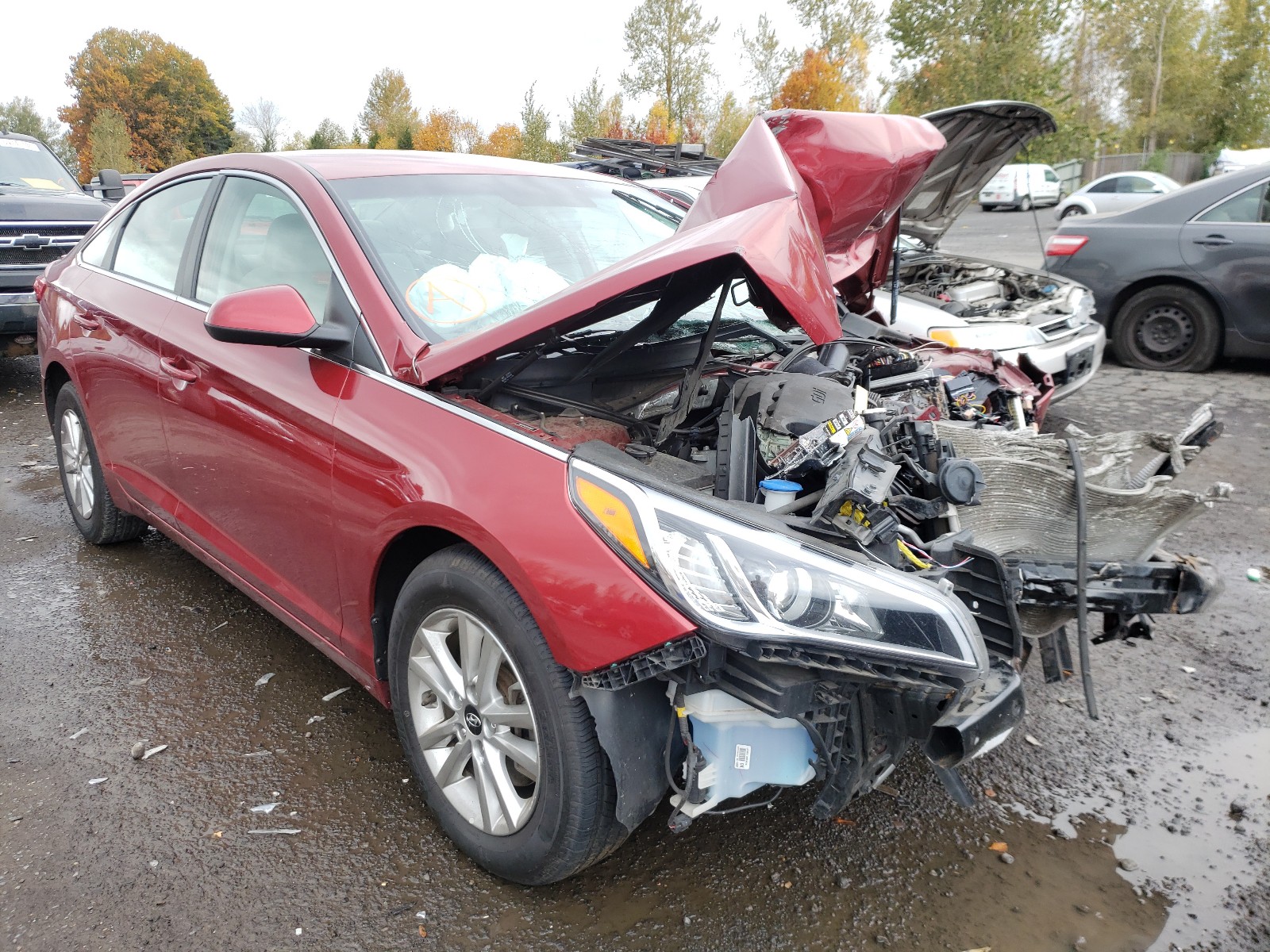 HYUNDAI SONATA SE 2016 5npe24af6gh316820