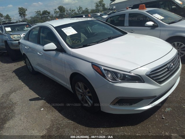 HYUNDAI SONATA 2016 5npe24af6gh320530