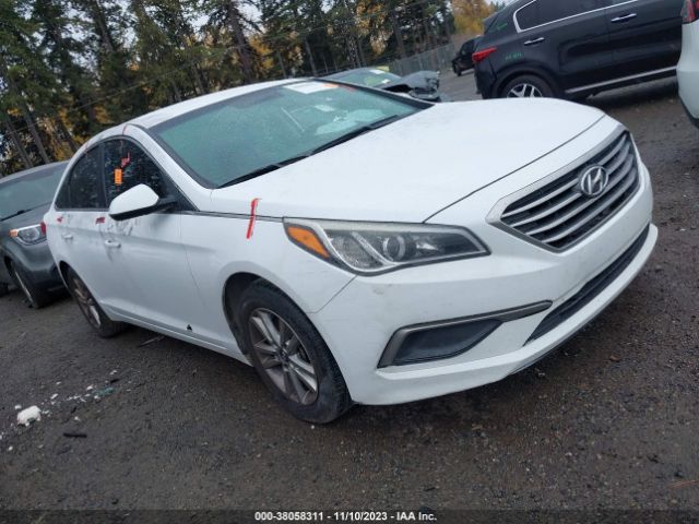 HYUNDAI SONATA 2016 5npe24af6gh322004