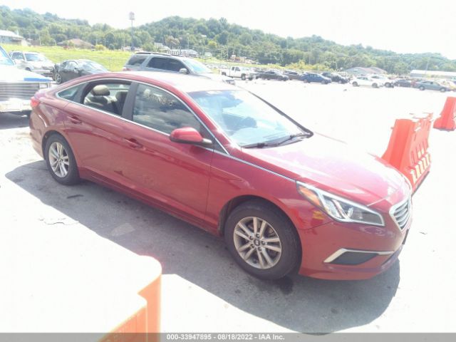 HYUNDAI SONATA 2016 5npe24af6gh339787