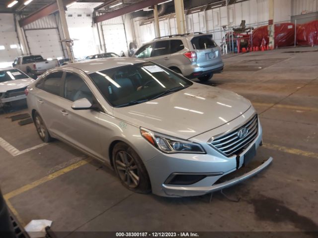 HYUNDAI SONATA 2016 5npe24af6gh341913