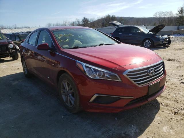 HYUNDAI SONATA SE 2016 5npe24af6gh342060