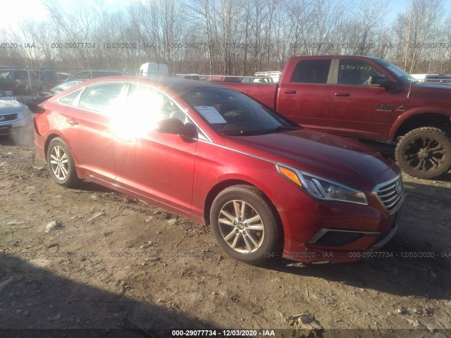 HYUNDAI SONATA 2016 5npe24af6gh343306