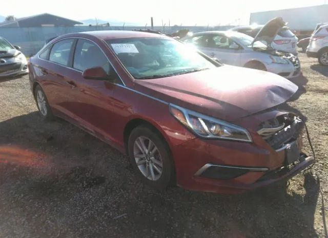 HYUNDAI SONATA 2016 5npe24af6gh346951