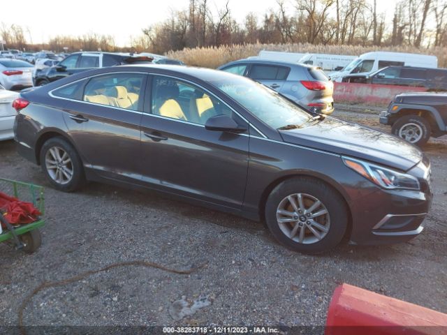 HYUNDAI SONATA 2016 5npe24af6gh348943