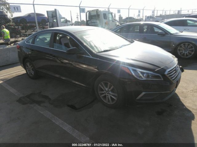 HYUNDAI SONATA 2016 5npe24af6gh349042