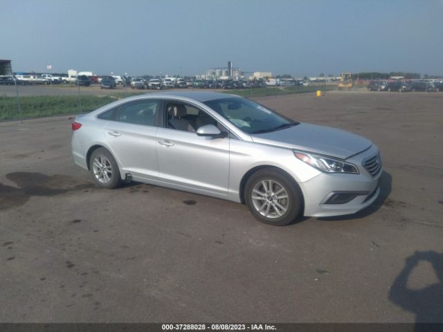 HYUNDAI SONATA 2016 5npe24af6gh349557