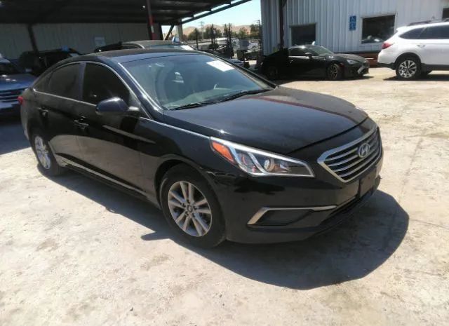 HYUNDAI SONATA 2016 5npe24af6gh349624