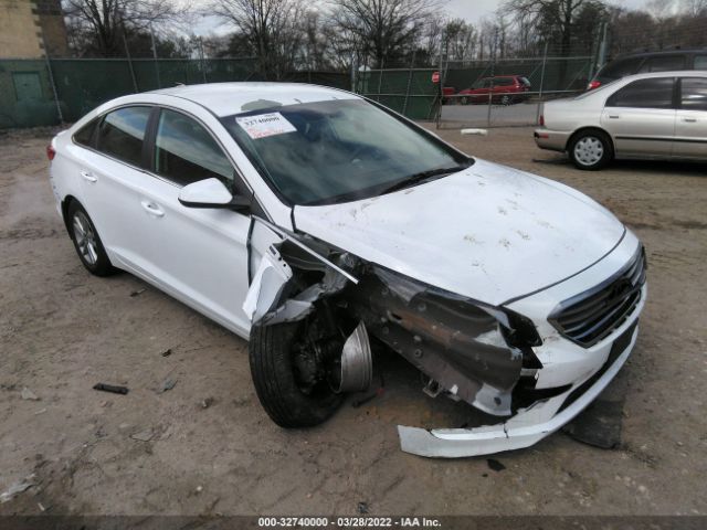 HYUNDAI SONATA 2016 5npe24af6gh354516