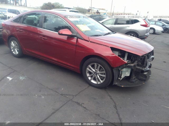 HYUNDAI SONATA 2016 5npe24af6gh359795