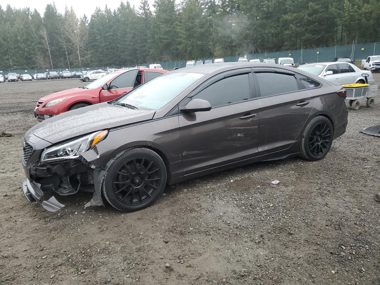 HYUNDAI SONATA 2016 5npe24af6gh362650