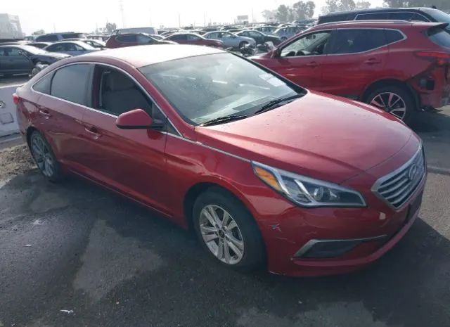 HYUNDAI SONATA 2016 5npe24af6gh363801