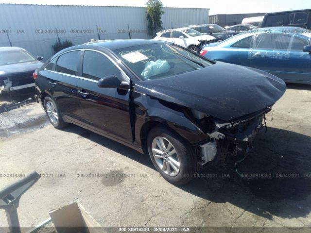 HYUNDAI SONATA 2016 5npe24af6gh366424