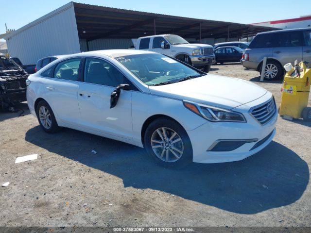 HYUNDAI SONATA 2016 5npe24af6gh366617