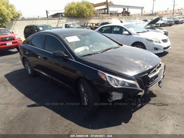 HYUNDAI SONATA 2016 5npe24af6gh367816