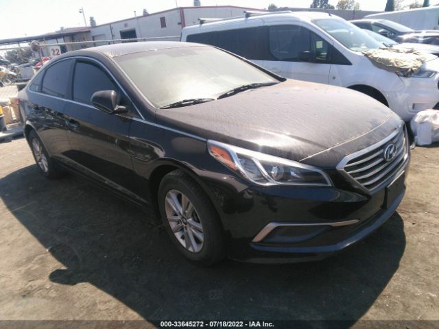 HYUNDAI SONATA 2016 5npe24af6gh368500