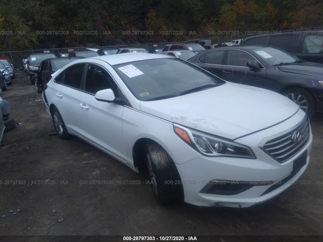 HYUNDAI SONATA 2016 5npe24af6gh371008