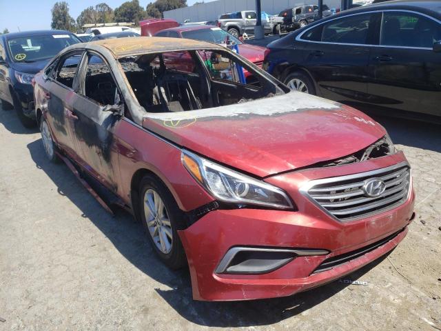 HYUNDAI SONATA SE 2016 5npe24af6gh375480