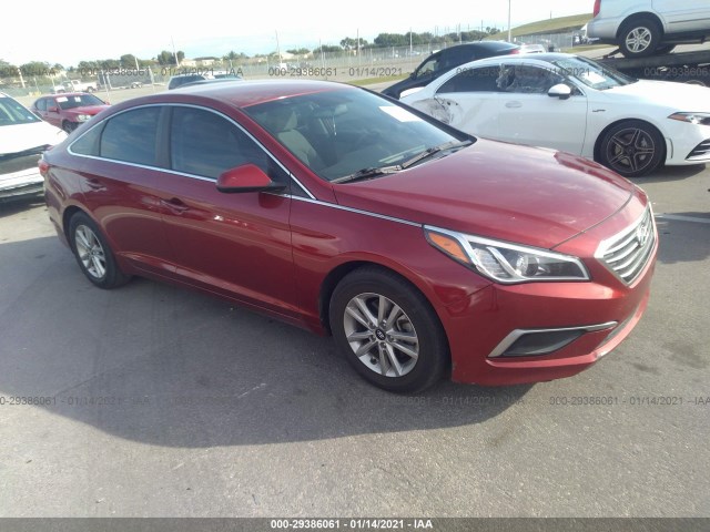 HYUNDAI SONATA 2016 5npe24af6gh375818