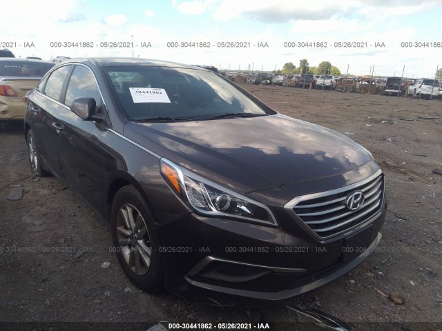 HYUNDAI SONATA 2016 5npe24af6gh384292