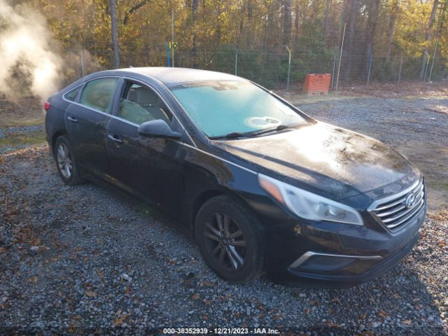 HYUNDAI SONATA 2016 5npe24af6gh384518