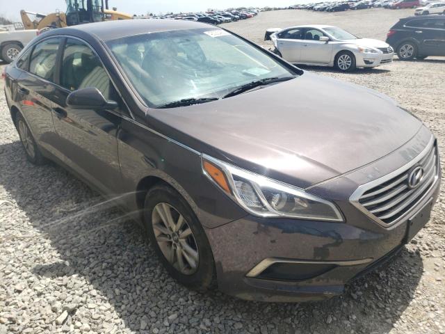 HYUNDAI SONATA SE 2016 5npe24af6gh387709