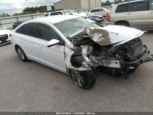 HYUNDAI SONATA 2016 5npe24af6gh390075