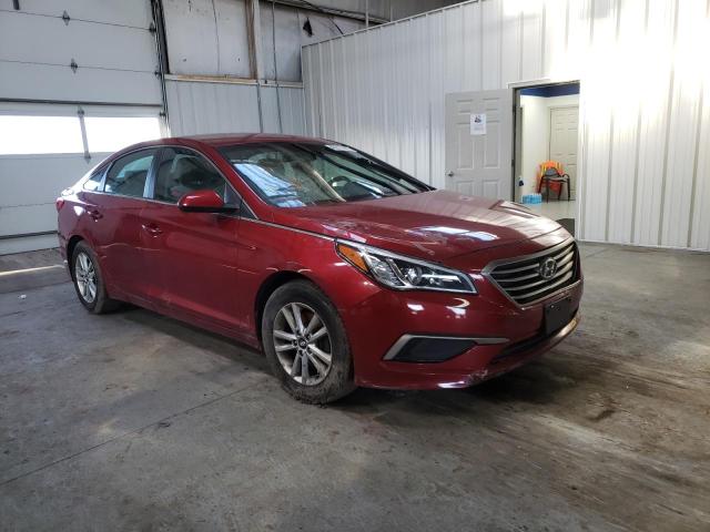 HYUNDAI SONATA SE 2016 5npe24af6gh394885